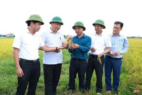 Vụ xuân 2026, xã Can Lộc triển khai mô hình trên diện tích 5,6 ha, áp dụng mạ khay, máy cấy, sử dụng phân bón hữu cơ, liên kết với Công ty CP Tập đoàn Quế Lâm.