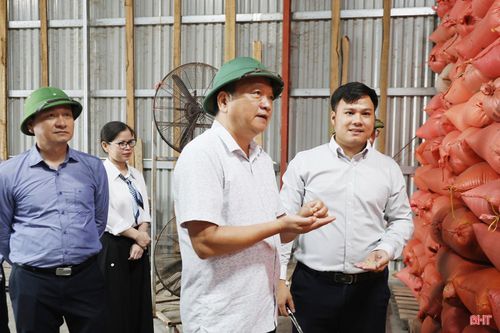 Phó Chủ tịch UBND tỉnh kiểm tra tại cơ sở sấy, thu mua lúa Cường Hợi, xã Kỳ Anh.