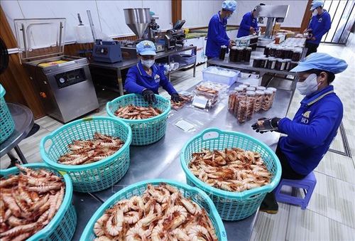 HTX Ba khía Dầm Dơi, xã Quách Phẩm, tỉnh Cà Mau, chế biến các sản phẩm ba khía, tôm chua, tôm khô, mỗi năm cung cấp ra thị trường trong nước khoảng 5 tấn sản phẩm các loại, đạt doanh thu 500 - 600 triệu đồng, tạo việc làm thu nhập ổn định cho 300 lao động tại địa phương. Ảnh: Vũ Sinh/TTXVN