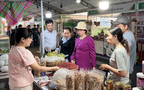 Người dân An Giang mua hàng nông sản trưng bày tại hội chợ nông nghiệp, nông sản xanh Đồng bằng sông Cửu Long. Ảnh minh họa: Thanh Sang/TTXVN