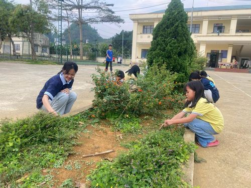 Trẻ em tại Cơ sở bảo trợ xã hội tổng hợp chăm sóc cây xanh trong khuôn viên cơ sở.