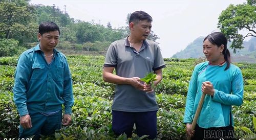 Chị Lù Thị Nẳm, thôn Lùng Húi chia sẻ niềm vui với cán bộ xã.