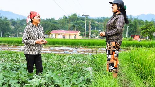 Cán bộ Chi hội Phụ nữ tổ dân phố Năm Hăn Thượng trao đổi với bà Hoàng Thị Inh về hiệu quả của cây dưa trên đất ruộng.