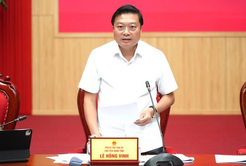 Đồng chí Lê Hồng Vinh, Chủ tịch UBND tỉnh phát biểu kết luận tại phiên họp - Ảnh: T.Đ