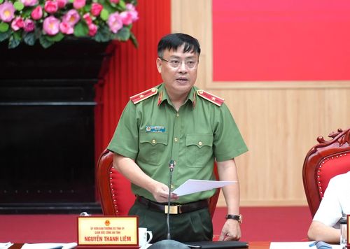 Thiếu tướng Nguyễn Thanh Liêm, Giám đốc Công an tỉnh phát biểu tại phiên họp - Ảnh: T.Đ