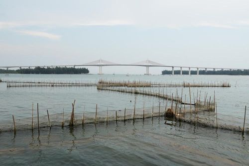 Cảnh hoang sơ, bình yên trên phá Tam Giang đoạn gần cửa biển Thuận An, thành phố Huế. Ảnh: Nguyên Lý - TTXVN