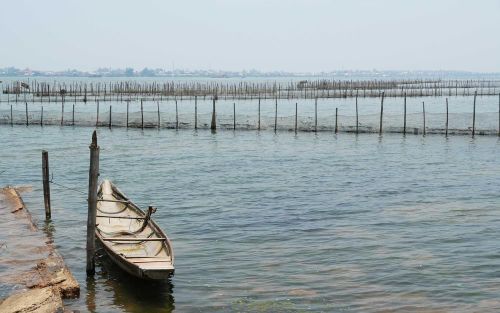 Cảnh hoang sơ, bình yên trên phá Tam Giang đoạn gần cửa biển Thuận An, thành phố Huế. Ảnh: Nguyên Lý - TTXVN