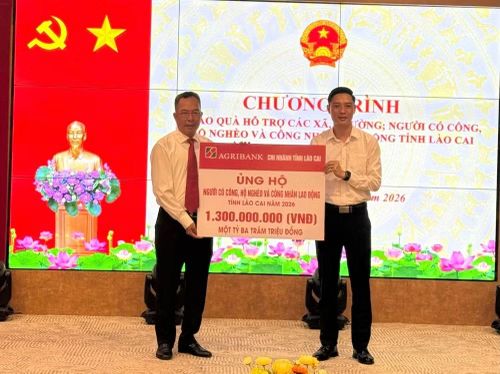 Các đơn vị hỗ trợ tỉnh Lào Cai.