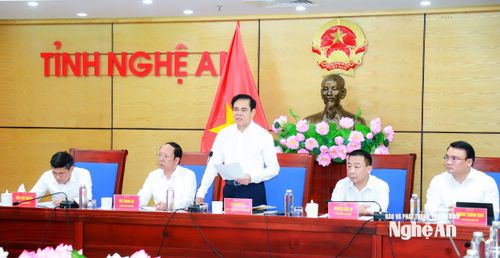 Chủ tịch UBND tỉnh Võ Trọng Hải phát biểu kết luận. Ảnh: Thành Duy
