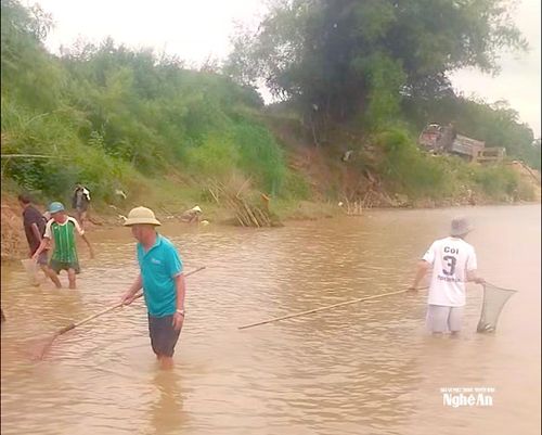 Người dân xã Anh Sơn tham gia vớt cá nổi trên sông Lam sáng 4/5. Ảnh: CSCC