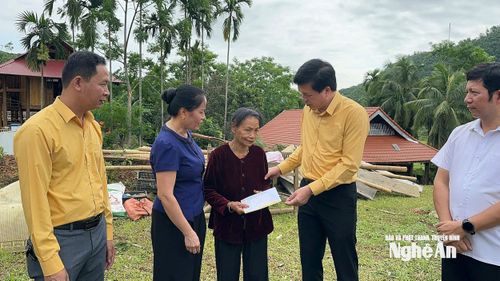 Trao hỗ trợ cho bà Vi Thị Hồng ở bản Tèo, xã Mường Ham. Ảnh: Thu Hường