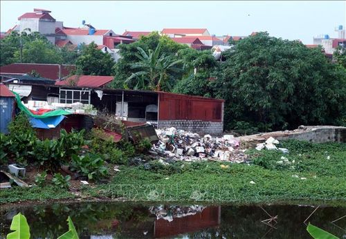 Rác bủa vây phía sau chợ Dầu, phường Hồng Châu, tỉnh Hưng Yên. Ảnh: Đinh Văn Nhiều/TTXVN