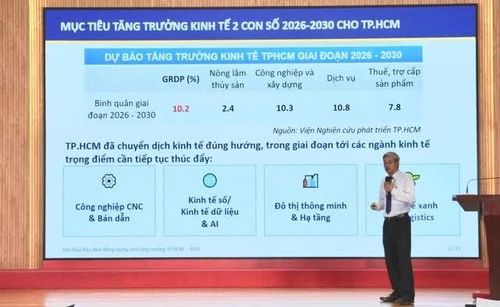 Ông Phạm Bình An - Phó Viện trưởng Viện Nghiên cứu Phát triển TP Hồ Chí Minh(HIDS).