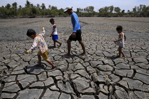 Ngư trường ở Manila, Philippines khô cạn vào năm 2015 khi El Nino tàn phá vùng đất nông nghiệp và gây thiệt hại mùa màng. Ảnh: Reuters
