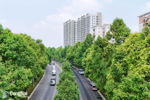 Đồng Nai đặt mục tiêu đạt Net zero vào năm 2050. Trong ảnh: Một khu đô thị nhiều cây xanh tại phường Trấn Biên. Ảnh: Hoàng Lộc