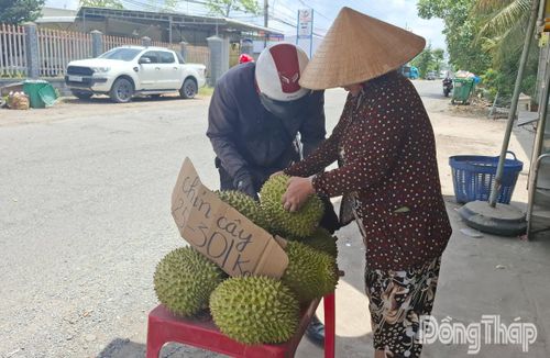 Một điểm bán sầu riêng Ri 6 dạt với giá từ 25.000 - 30.000 đồng/kg ven tuyến đường tỉnh 864.