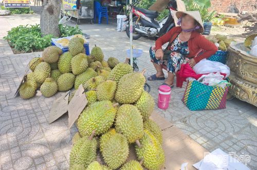 Nhiều điểm bán sầu riêng giá rẻ mọc lên trên tuyến đường Lê Thị Hồng Gấm (phường Thới Sơn).