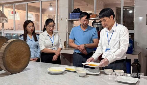 Đoàn kiểm tra tại hộ kinh doanh trên đường Tam Thanh, phường Tam Thanh