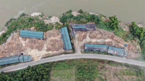 Hai cơ sở đốt than củi trái phép của bà Hằng và ông Hoàng bị buộc phá dỡ trong thời gian 30 ngày. (Ảnh: Báo Tiền Phong)