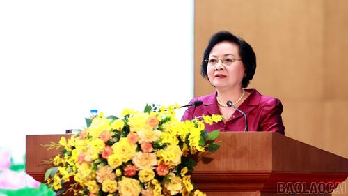 Bí thư Trung ương Đảng, Phó Thủ tướng Phạm Thị Thanh Trà phát biểu tại hội nghị.