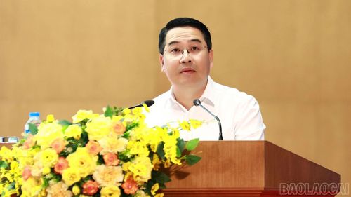 Chủ tịch UBND tỉnh Nguyễn Tuấn Anh phát biểu tại hội nghị.