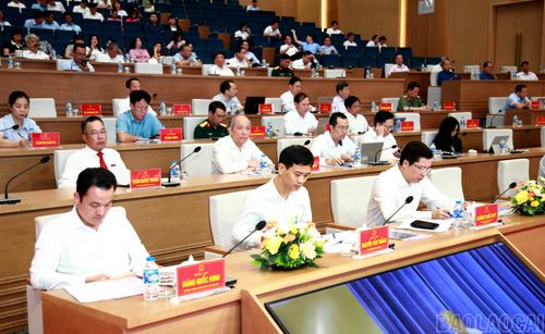 Các đại biểu dự hội nghị.