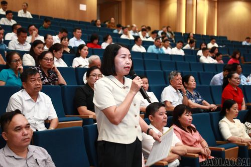 Các cử tri phát biểu trực tiếp tại hội nghị.