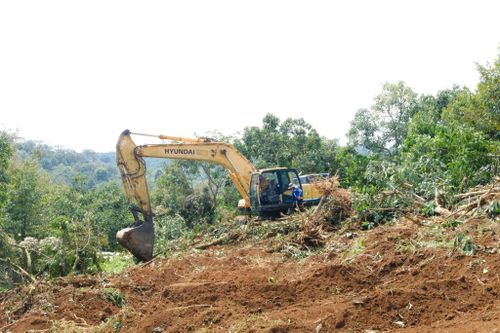 Các đơn vị thi công đang khẩn trương làm đường phục vụ triển khai đồng loạt các mũi thi công trên 2 tuyến cao tốc