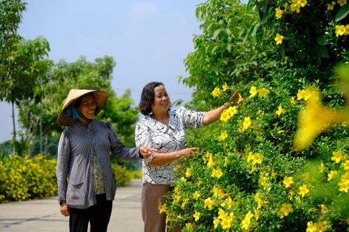 Tuyến đường hoa tại thôn 7 trở thành hình ảnh đẹp trong phong trào Xây dựng đời sống văn hóa ở Đạ Tẻh (Ảnh: tư liệu)