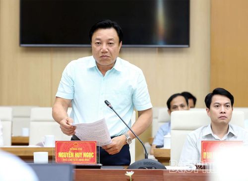 Phó Chủ tịch UBND tỉnh Nguyễn Huy Ngọc phát biểu tại hội nghị.