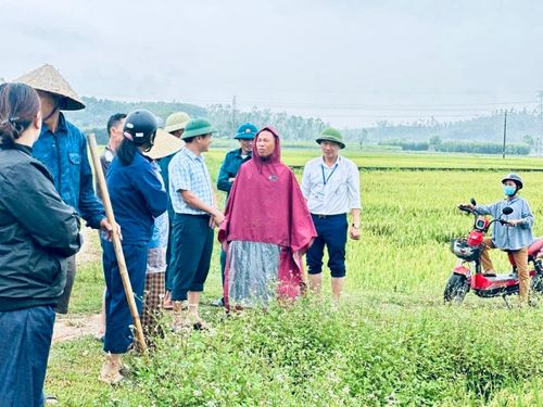 Kiểm tra, chỉ đạo khắc phục lúa xuân bị đổ rạp sau giông lốc tại xã Đại Đồng. Ảnh: H.P
