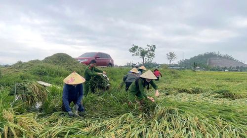 Với sự vào cuộc kịp thời của lực lượng Công an, nhiều hộ nông dân đã "vớt vát" được một phần tài sản sau thiên tai.