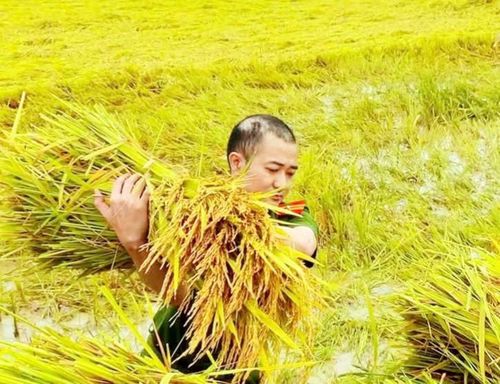 Không quản ngại gian khó, nhiều CBCS đã dầm mình để hỗ trợ nhân dân.