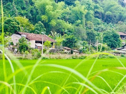 Làng nhà sàn Bản Cám, bên Hồ Ba Bể.