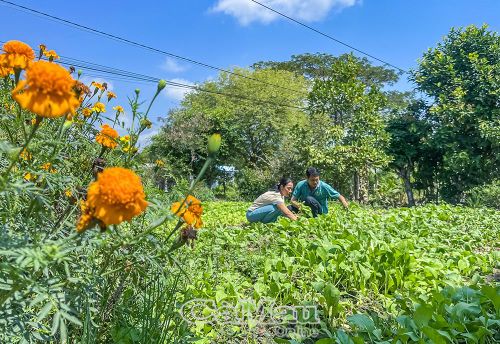 Đồng bào dân tộc thiểu số ở xã Khánh Hưng tin tưởng chính sách của Đảng, chủ động phát triển sinh kế, vươn lên thoát nghèo bền vững.