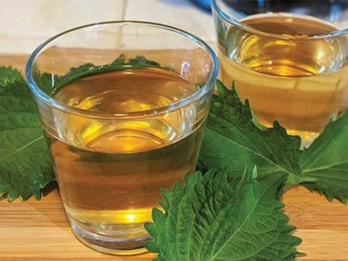 Nước lá tía tô là thảo dược tốt cho sức khỏe.