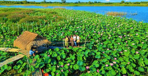 Người dân check in ở cánh đồng sen ở sông Đầm. Ảnh: Tấn Thành.