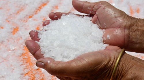 “Hoa muối” kết tinh lấp lánh dưới ánh nắng