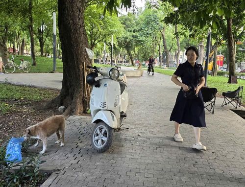 Nhiều người dân "vô tư" dắt chó không rọ mõm, không dây xích vào công viên