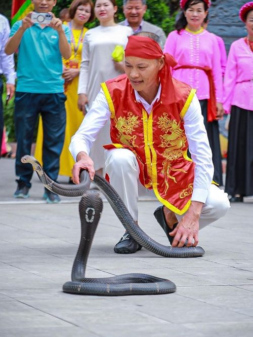 Biểu diễn rắn sống tại Lễ hội. Ảnh: Khánh Hòa - TTXVN
