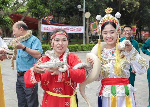 Du khách hào hứng trải nghiệm cảm giác chinh phục rắn sống, hoạt động độc đáo tại Lễ hội truyền thống làng Lệ Mật. Ảnh: Phan Phương – TTXVN