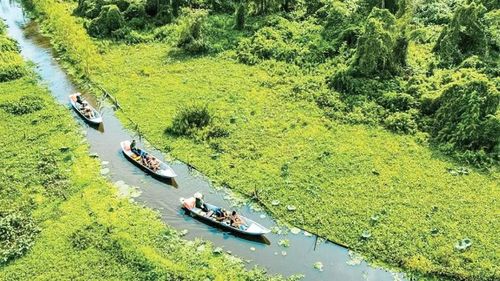 Du khách tham quan Rừng tràm Trà Sư, An Giang. (Ảnh: TRA SU TOURIST AREA)