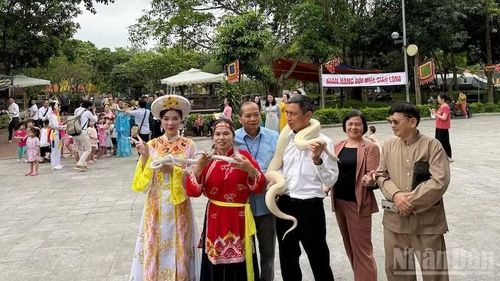 Chụp ảnh tạo dáng với rắn - trải nghiệm độc đáo tại Lễ hội truyền thống làng Lệ Mật.