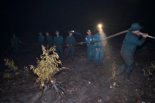 Theo báo cáo ban đầu, đám cháy bùng phát vào trưa 5/5. Ngay sau khi nhận tin báo, lực lượng chức năng đã huy động gần 300 cán bộ, chiến sĩ thuộc nhiều lực lượng khác nhau, cùng khoảng 40 phương tiện, thiết bị tham gia chữa cháy.