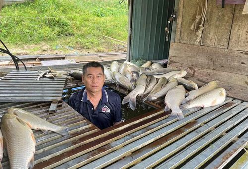 Người dân mong muốn cơ quan chức năng sớm có kết luận nguyên nhân chính thức để yên tâm.