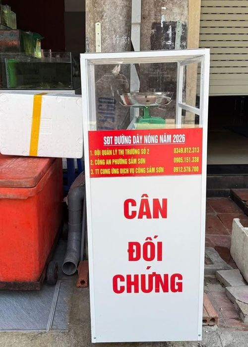 Số điện thoại đường dây nóng được "đính kèm" cân đối chứng. Ảnh: TTTT phường Sầm Sơn
