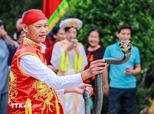 Biểu diễn rắn sống tại Lễ hội. (Ảnh: Khánh Hòa/TTXVN)