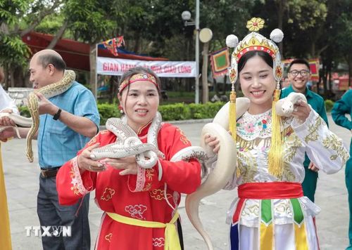 Du khách hào hứng trải nghiệm cảm giác chinh phục rắn sống, hoạt động độc đáo tại Lễ hội truyền thống làng Lệ Mật. (Ảnh: Phan Phương/TTXVN)