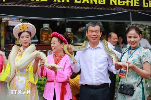 Rắn, trăn luôn là tâm điểm của Lễ hội làng Lệ Mật. (Ảnh: Khánh Hòa/TTXVN)