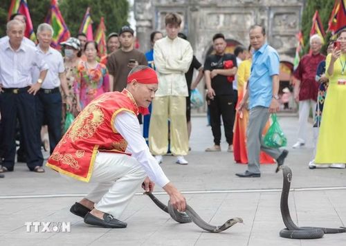 Nghệ nhân làng Lệ Mật biểu diễn màn múa rắn độc đáo, tái hiện huyền thoại chinh phục thủy quái. (Ảnh: Khánh Hòa/TTXVN)